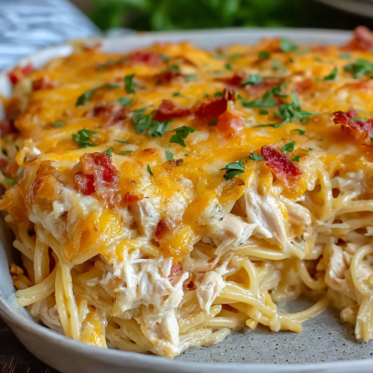 chicken spaghetti casserole A beautifully plated serving of chicken spaghetti casserole, with crispy golden cheese and some garnishing.